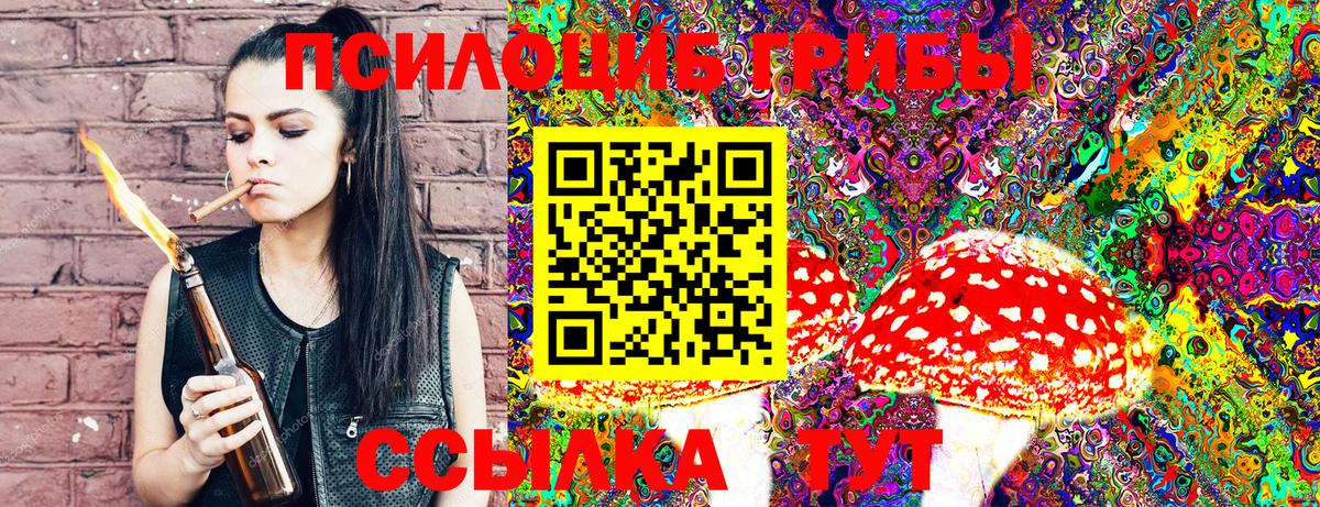 Псилоцибиновые грибы GOLDEN TEACHER Топки