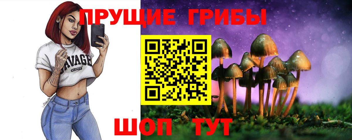 цена наркотик  Вход с VPN  Топки  Псилоцибиновые грибы GOLDEN TEACHER  Галлюциногенные грибы Magic Shrooms 